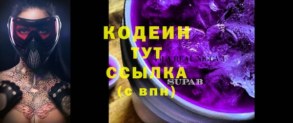 дмт Вяземский
