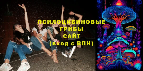 молекула духа Вязники