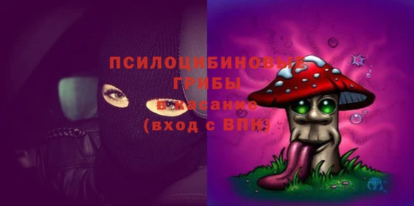 молекула духа Вязники