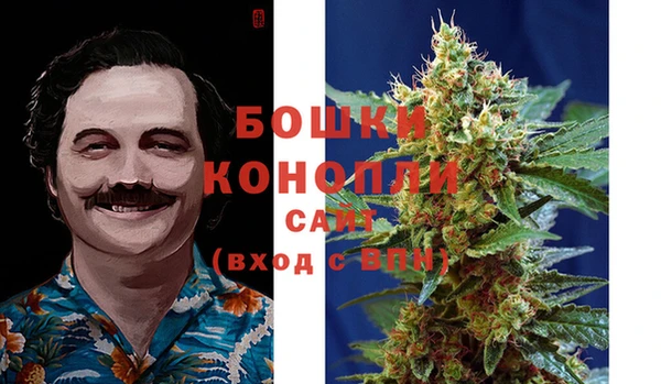 дмт Вяземский