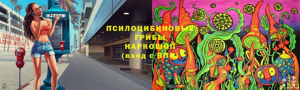молекула духа Вязники