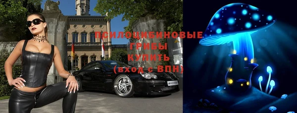 молекула духа Вязники
