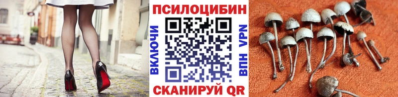 Галлюциногенные грибы мицелий  Петровск-Забайкальский 